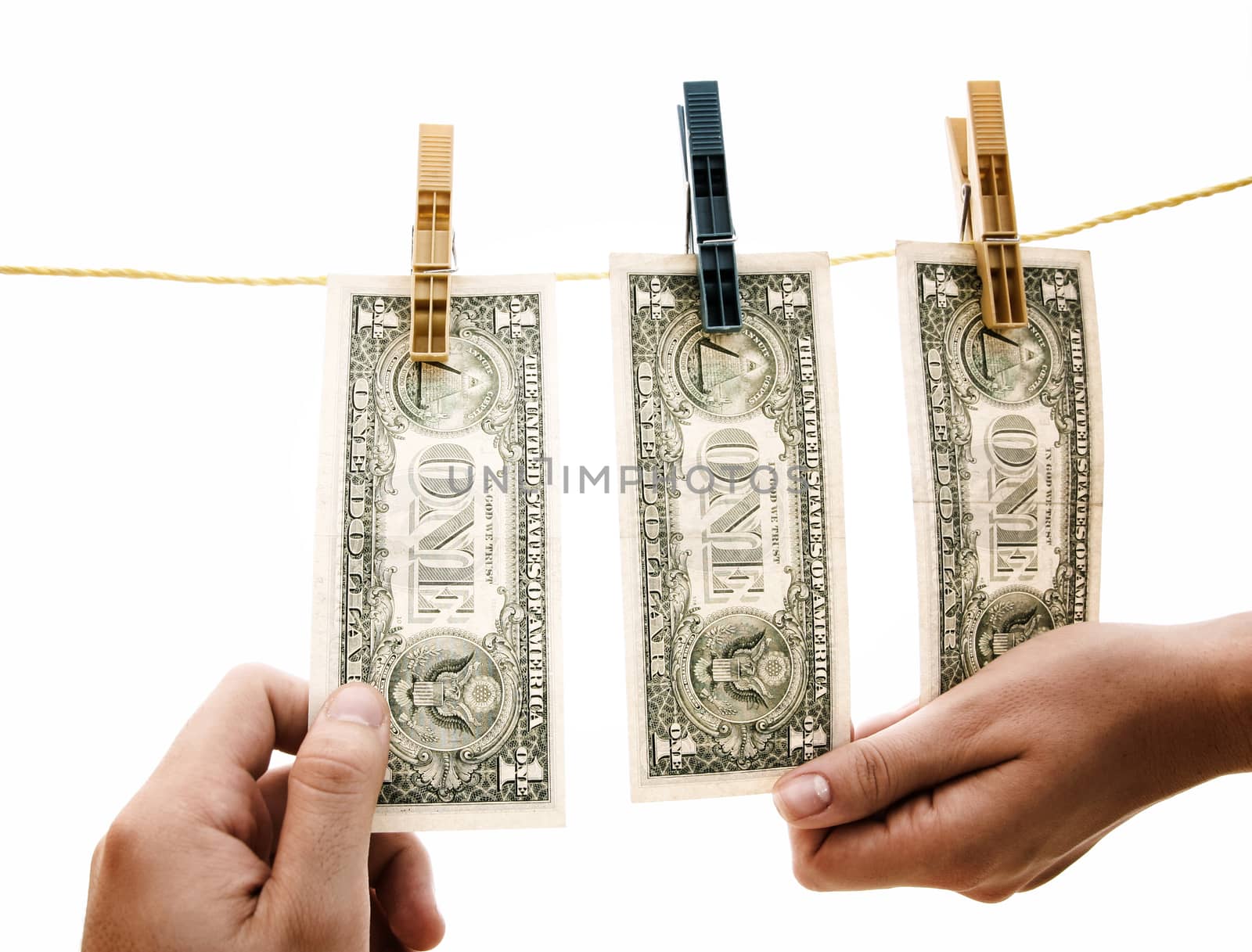 Dollars on the wire isolated on white.
