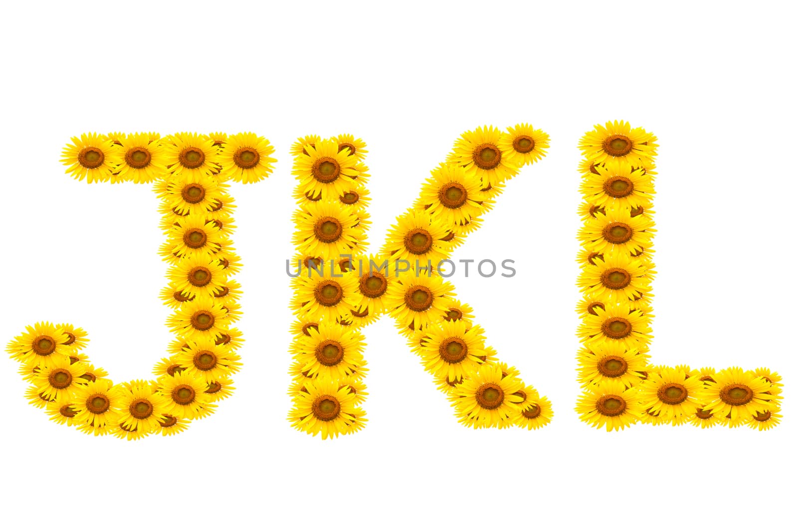 alphabet JKL, sunflower isolated on white background