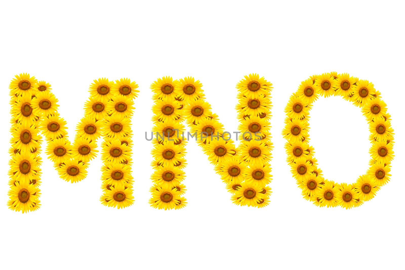 alphabet MNO , sunflower isolated on white background
