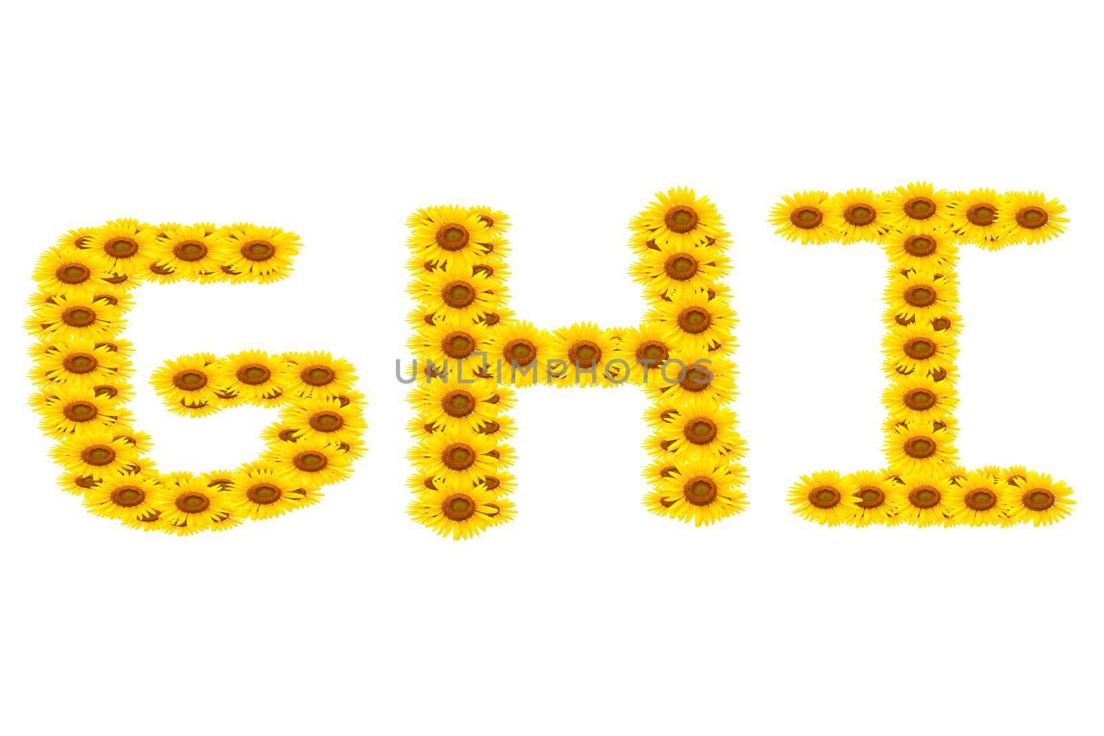 alphabet GHI , sunflower isolated on white background
