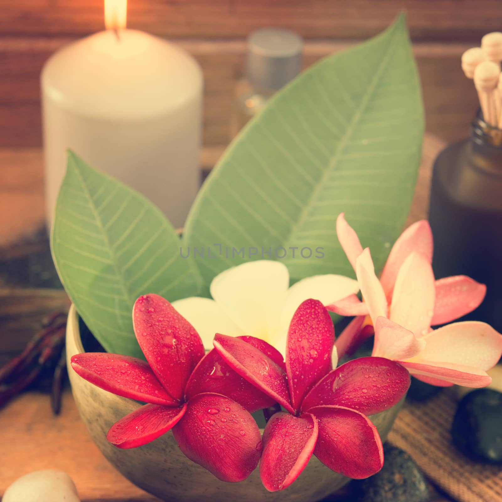 Tropical spa with Frangipani flowers in retro style. Low lighting, suitable for spa related theme.