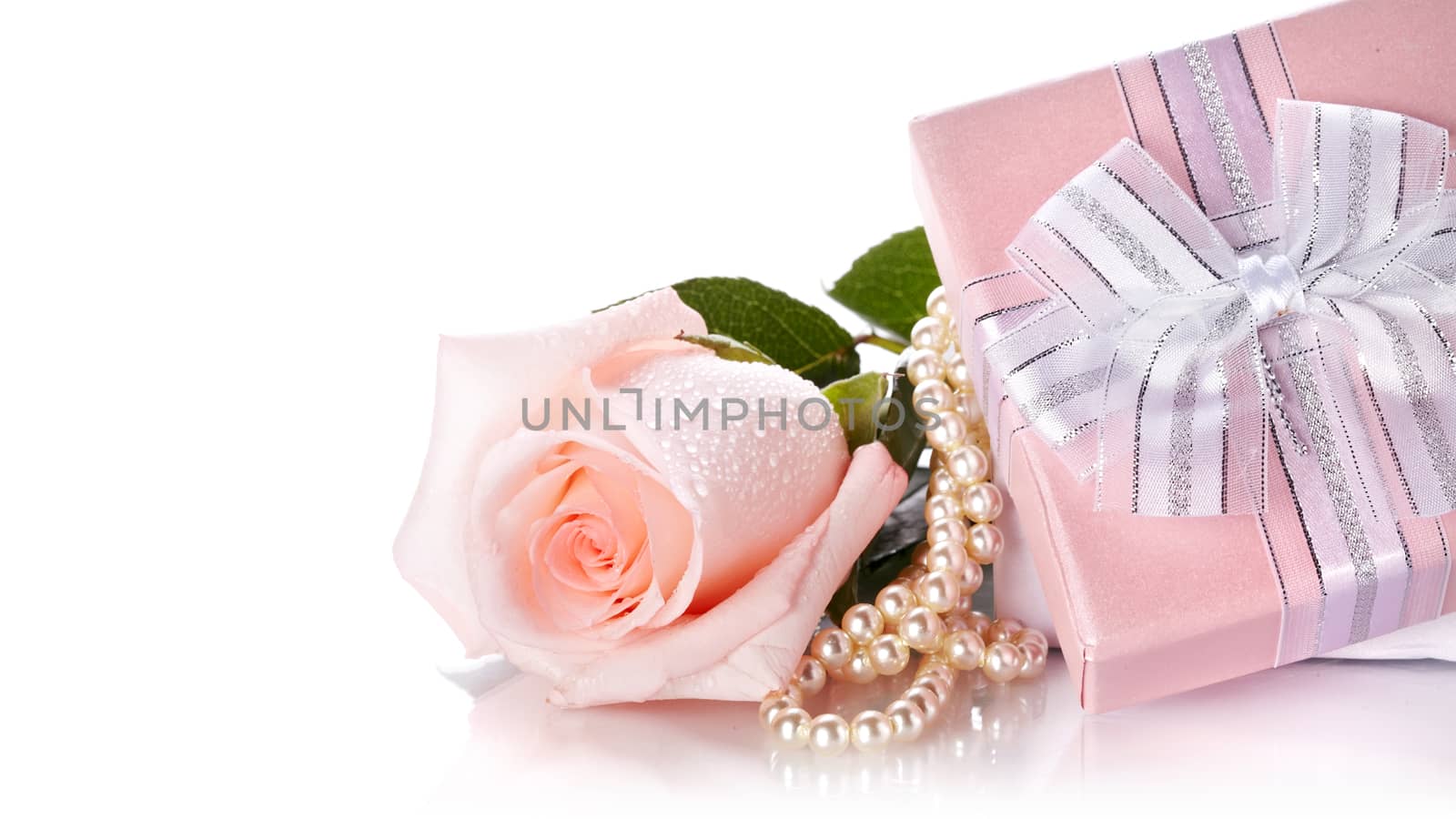 Pink rose. Rose on a white background. Pink flower. Pink rose and pearl beads. Gift and rose.