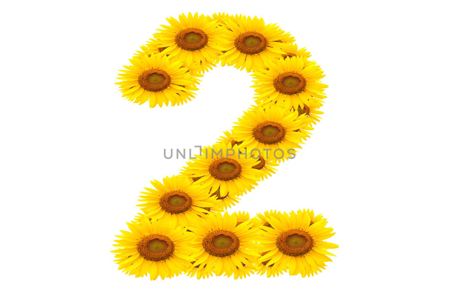 Number 2,  Sunflower isolate on White background