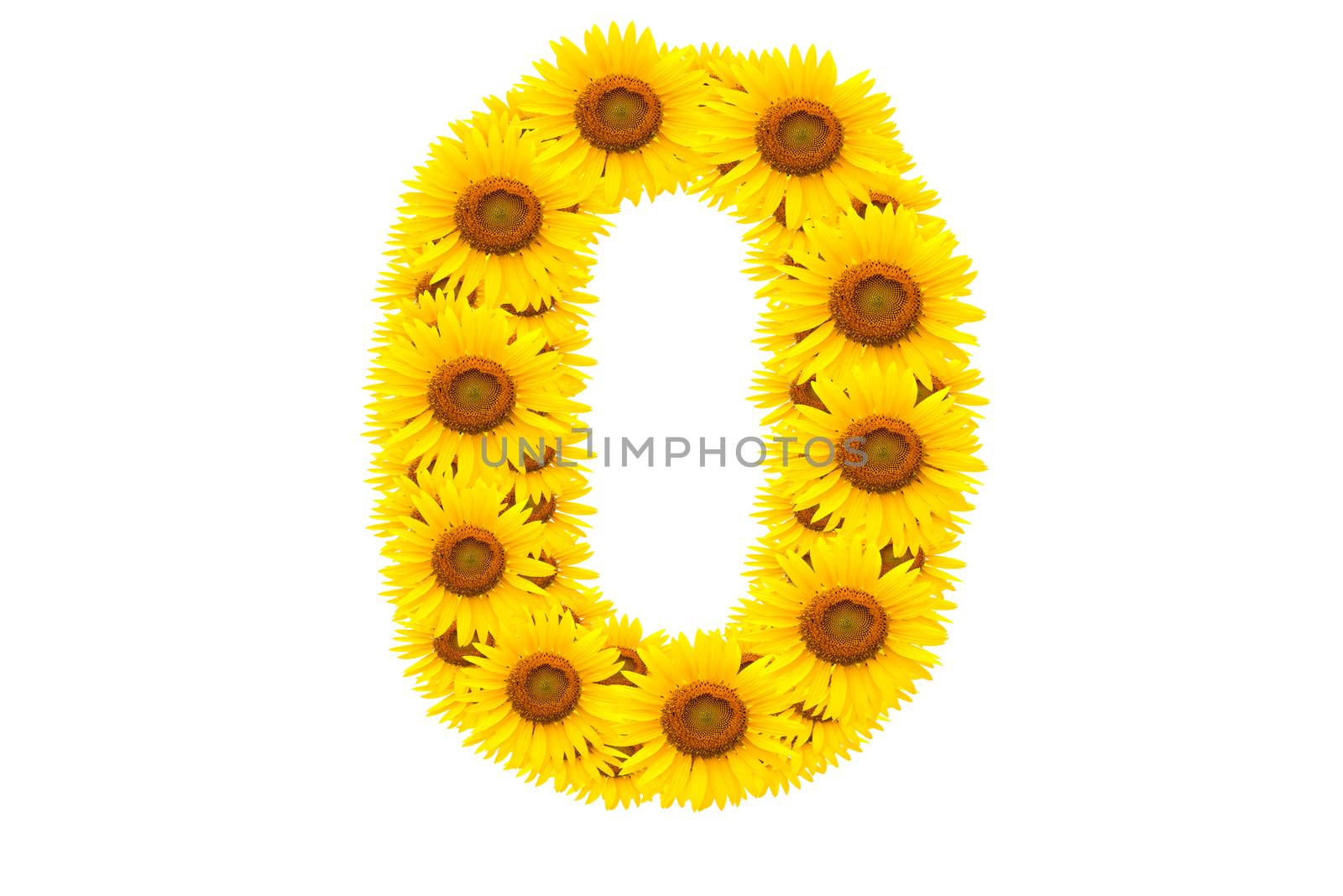 Number 0,  Sunflower isolate on White background