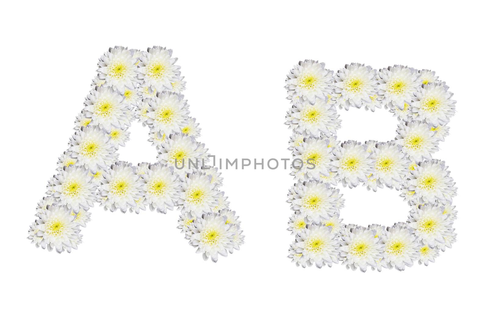alphabet AB , White Flower isolated on white background