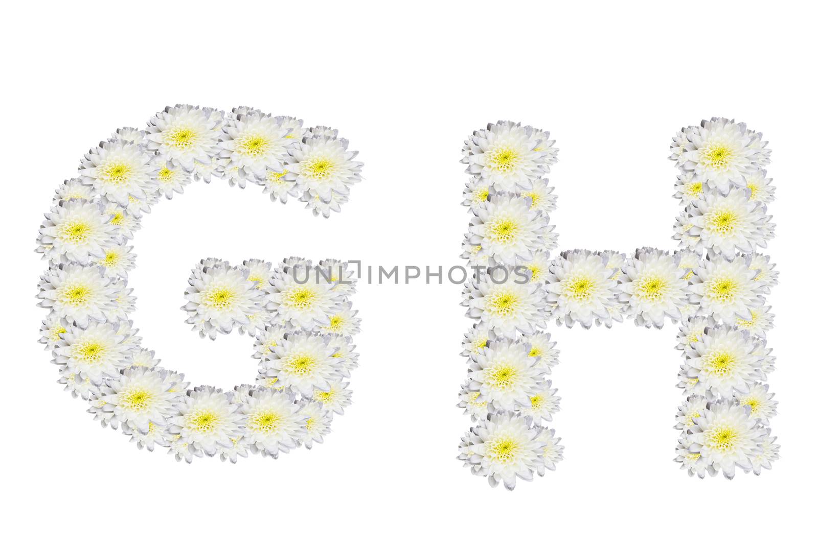 alphabet GH , White Flower isolated on white background