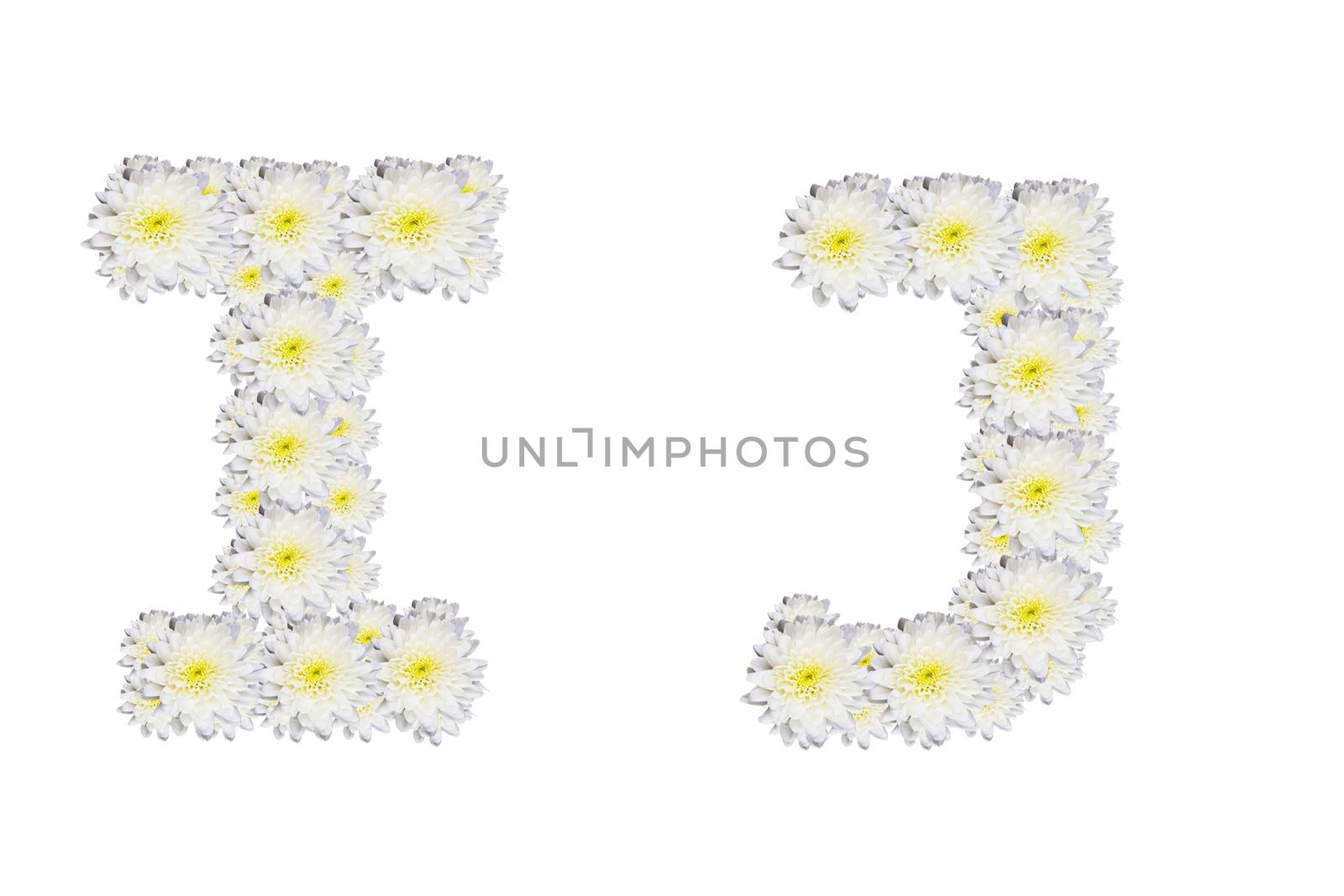 alphabet IJ , White Flower isolated on white background