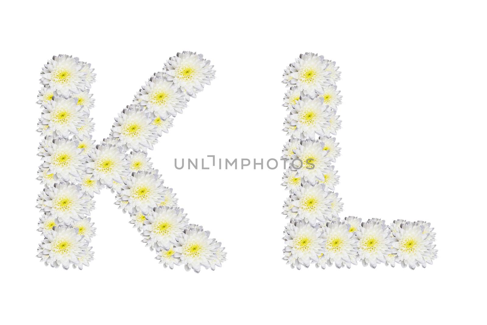 alphabet KL , White Flower isolated on white background
