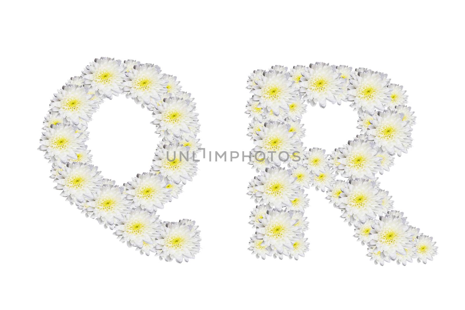 alphabet QR , White Flower isolated on white background