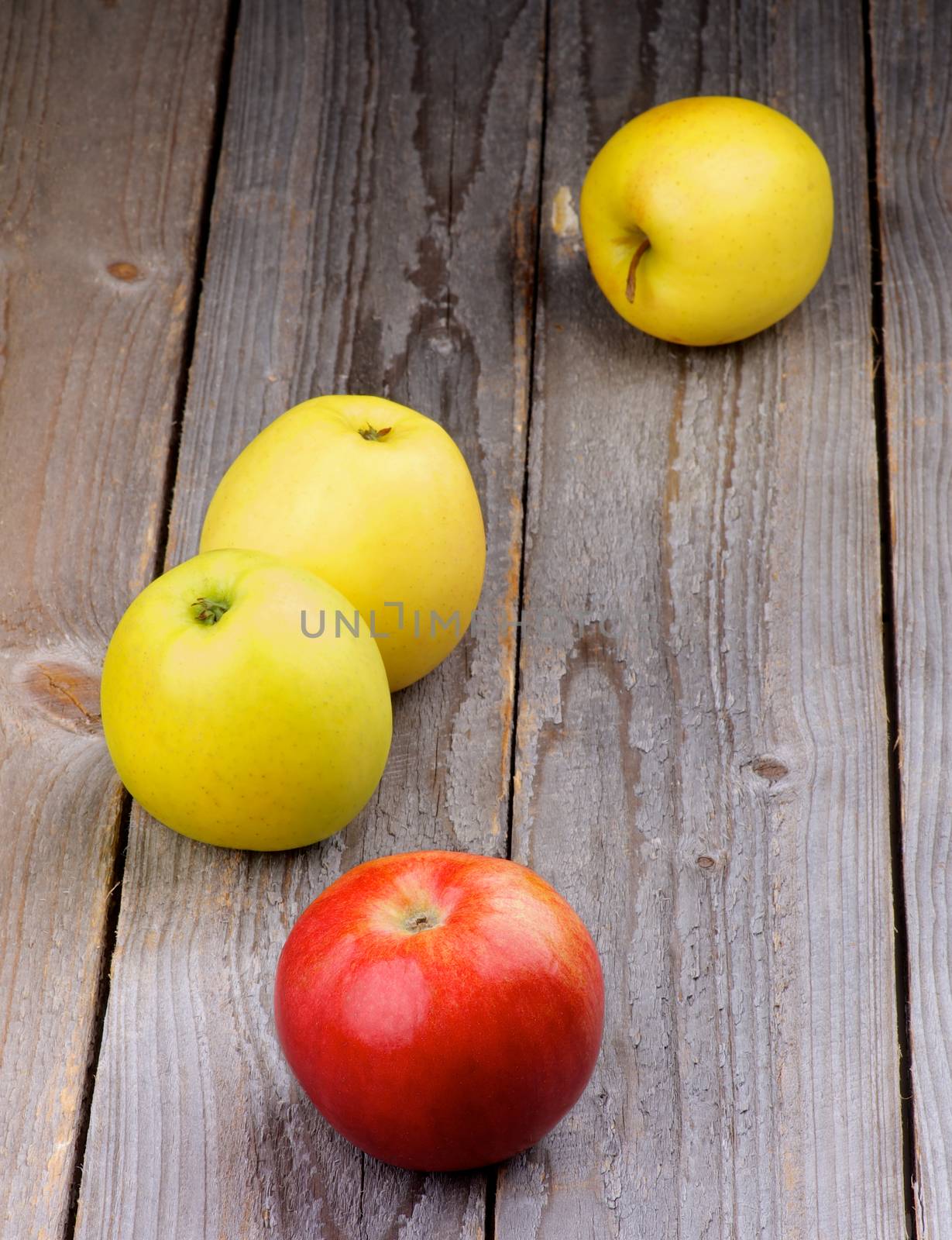 Arrangement of Red Apple and Apples Golden Delicious isolated on Rustic Wooden background