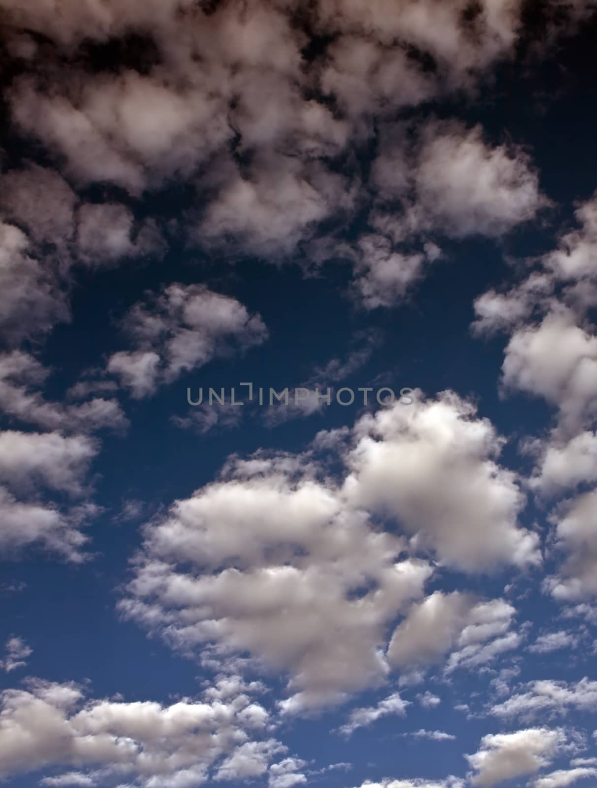A background of bright white clouds on a blue sky