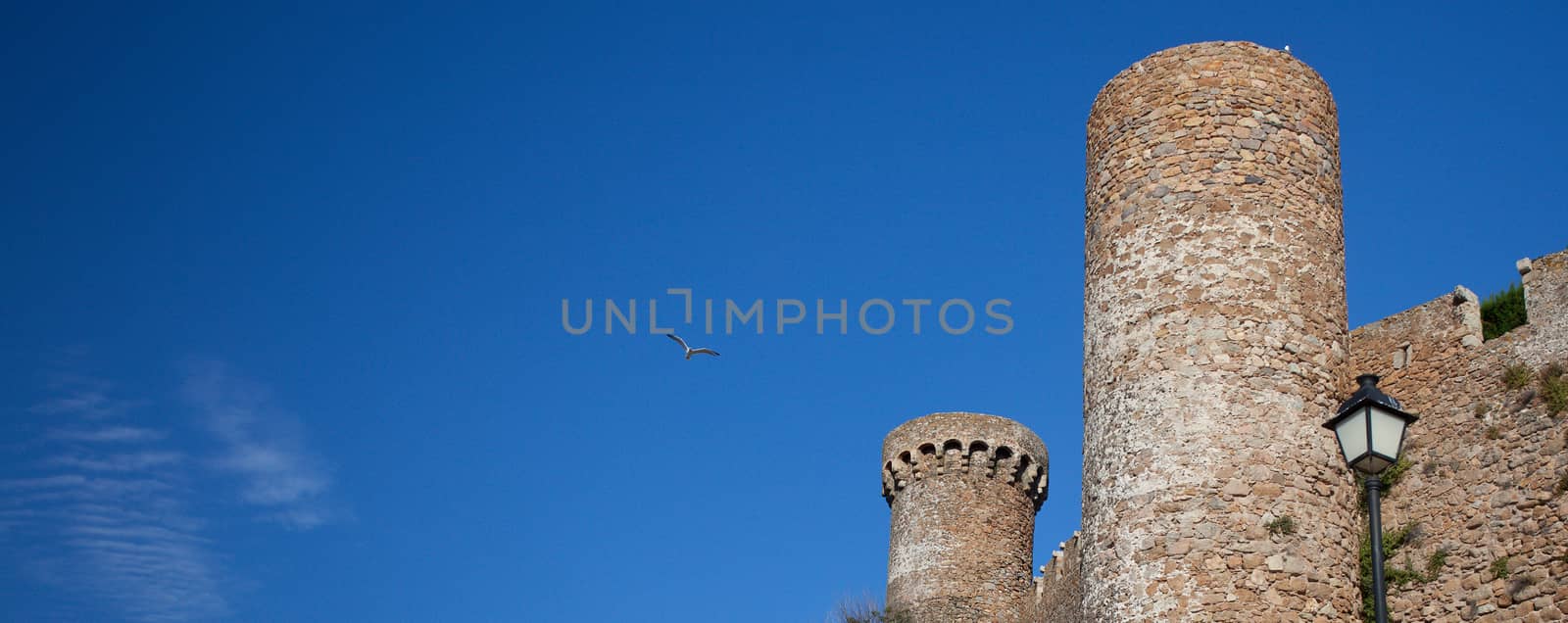 fragment of an ancient fortress on a background of blue sky with birds