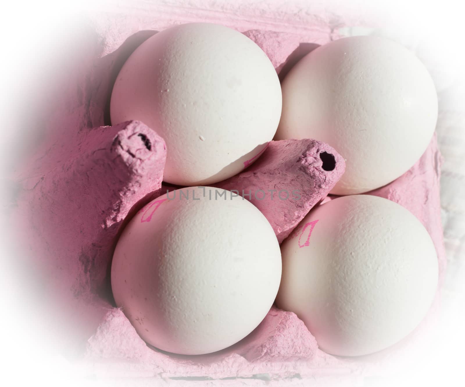 Four white eggs in pink carton fade out in white.