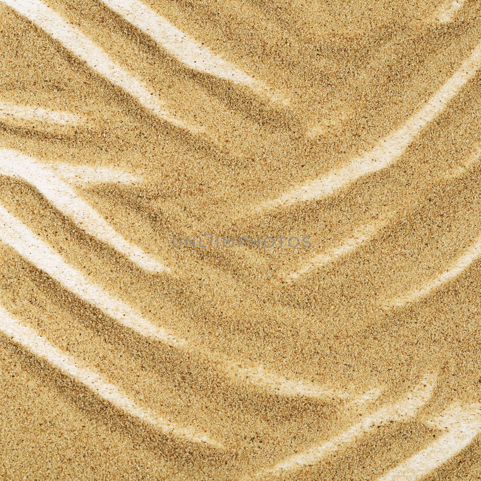 Sand texture as a background. Close up
