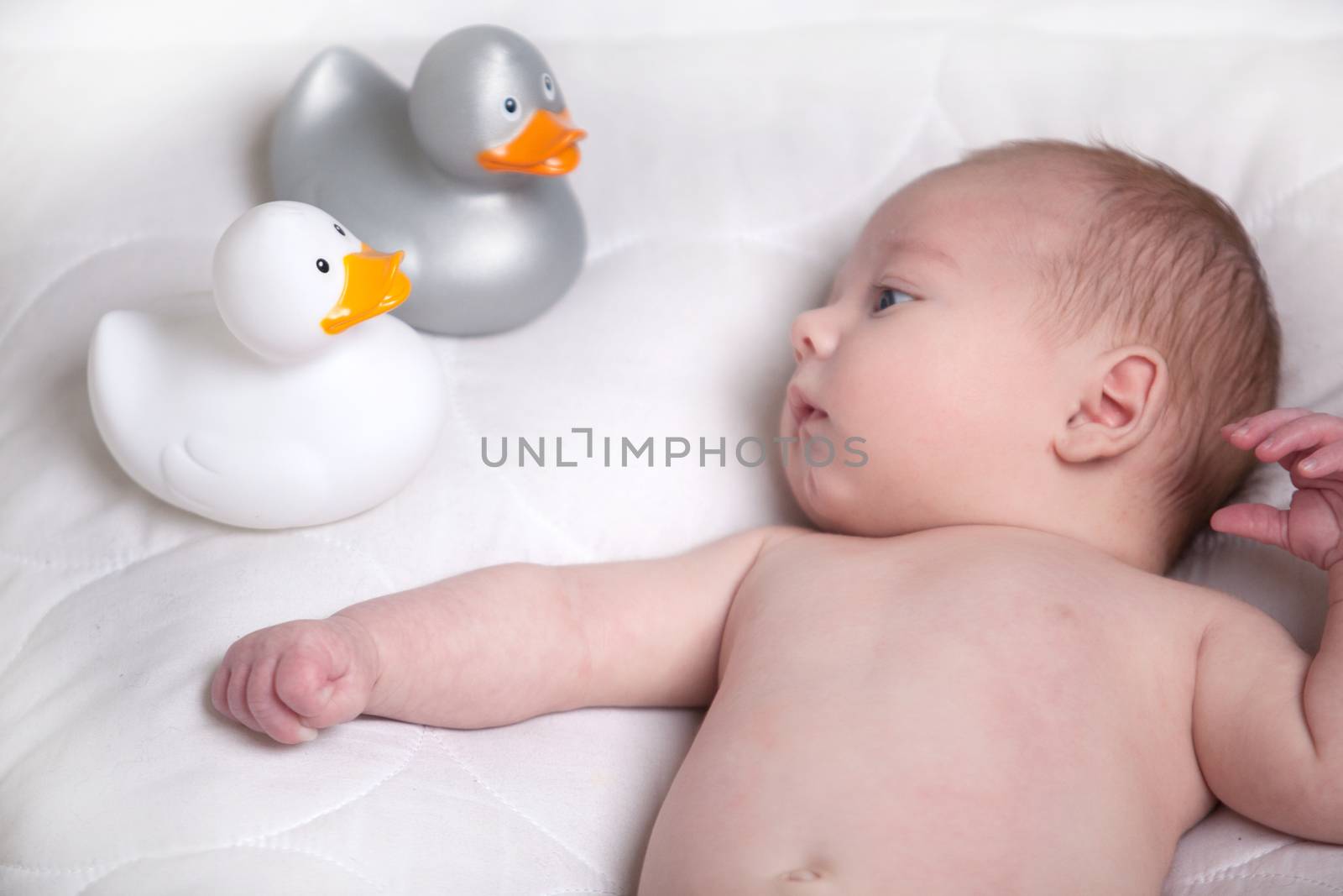 Baby and some ducks from bath by DNFStyle