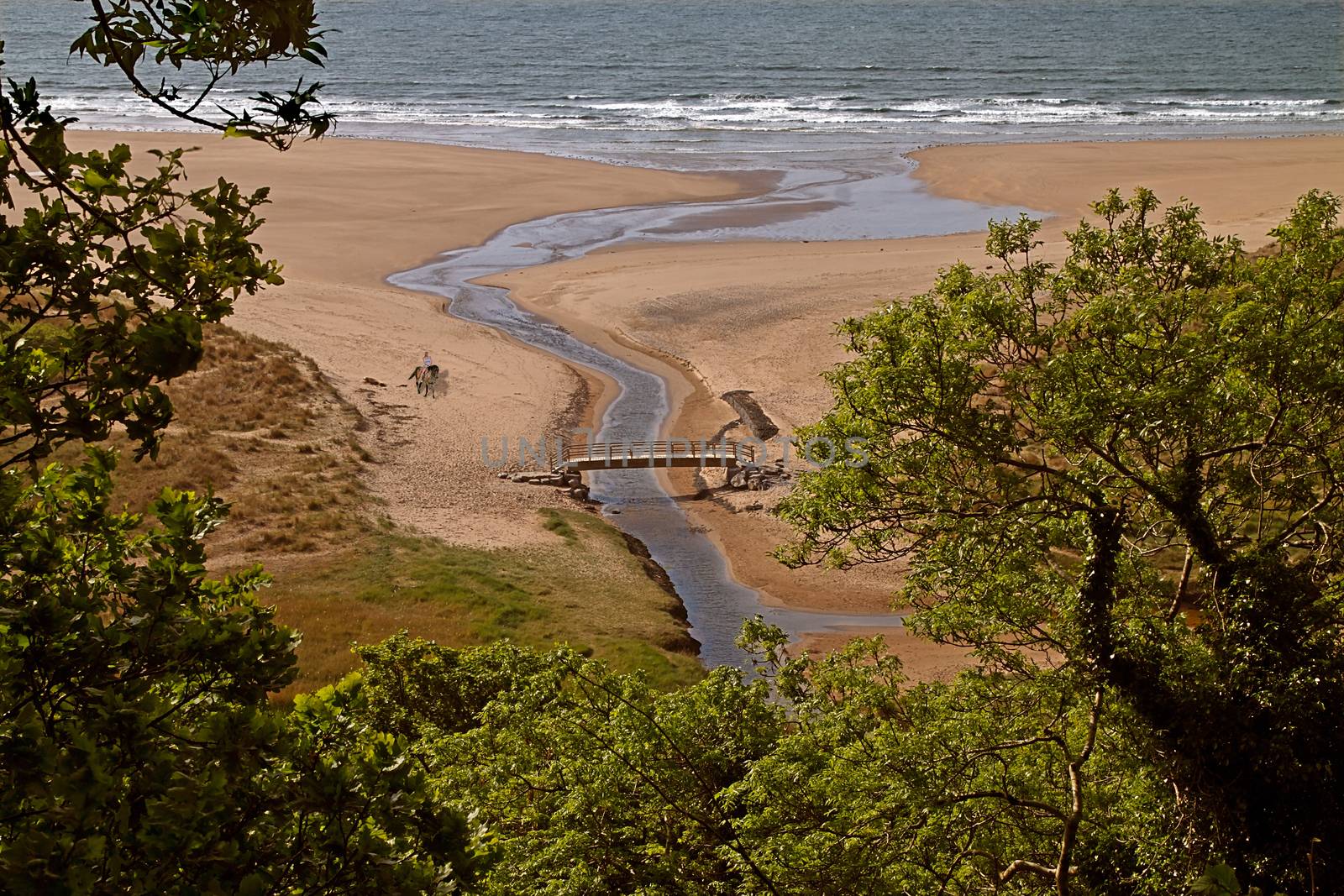 The beach at Oxwich Bay, seen through a gap in Nicholaston Woods on the Gower Peninsula, South Wales, UK.