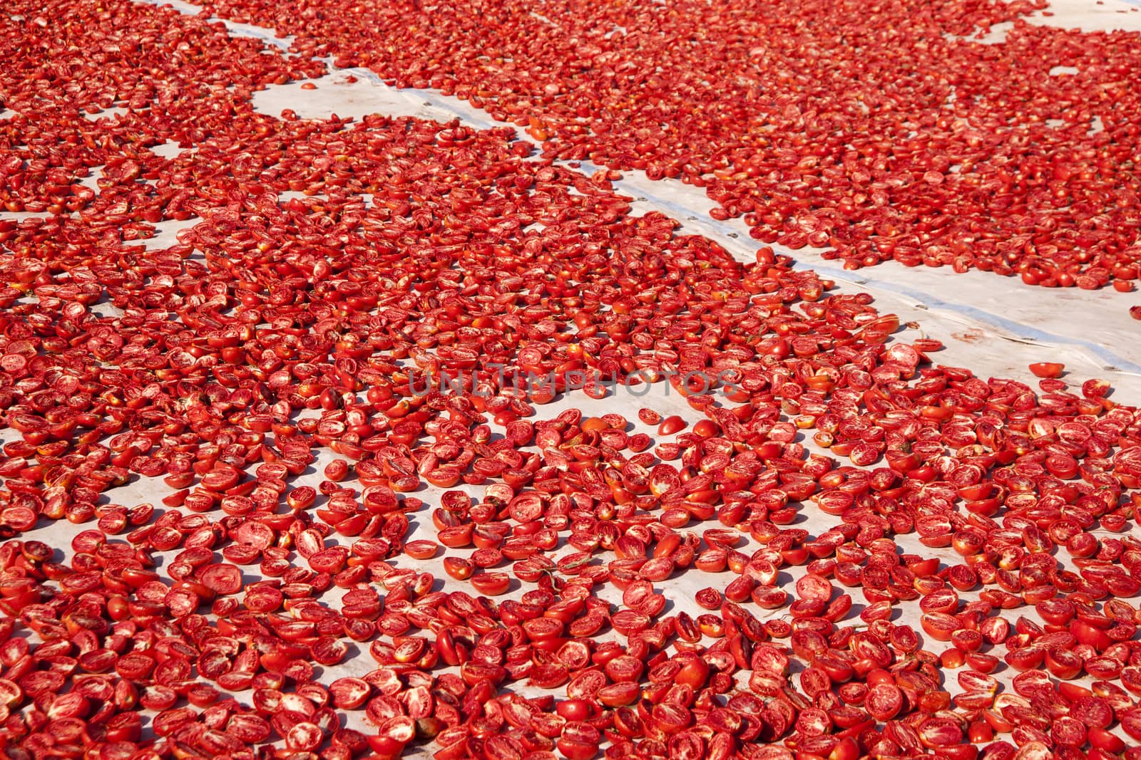 dried tomatoes  by emirkoo