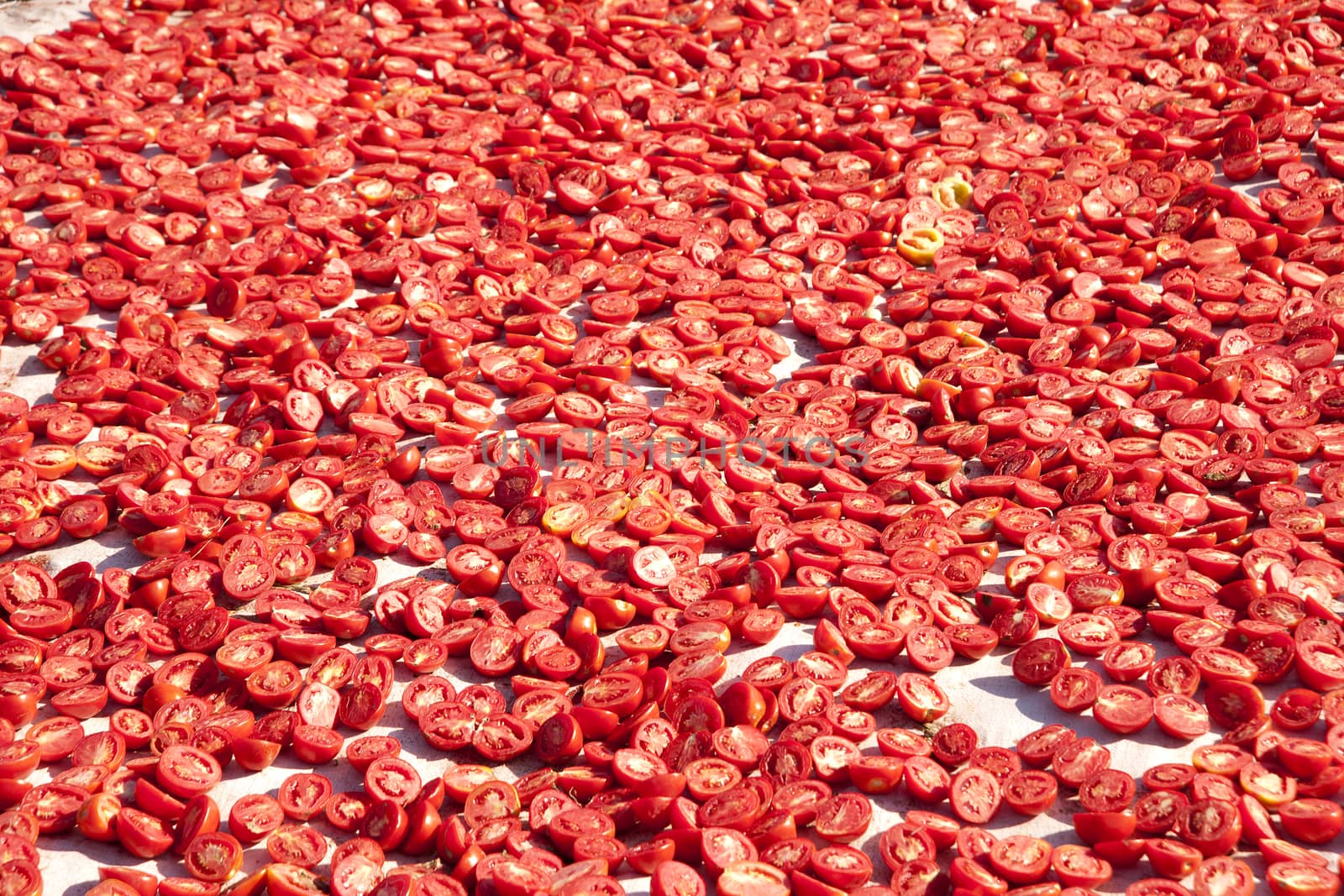 dried tomatoes  by emirkoo