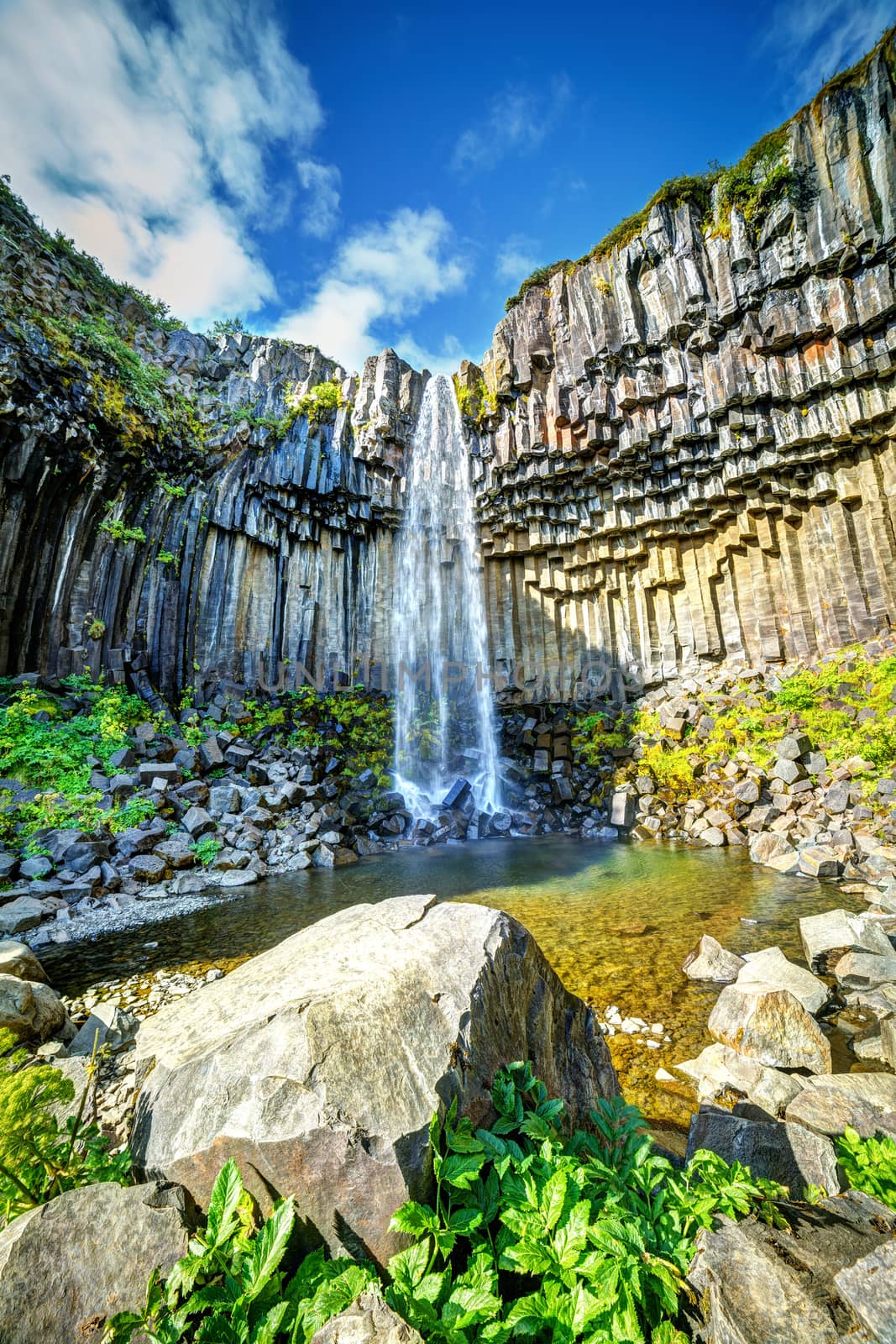 View of famous Svartifoss (Black Fall) in Skaftafell National Park, southeast Iceland