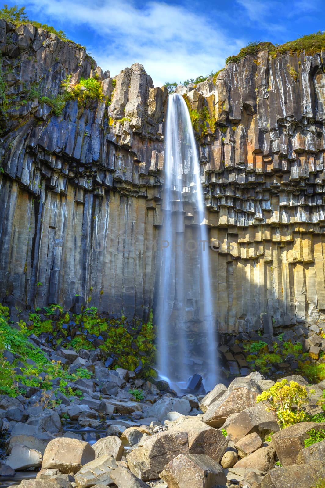 View of famous Svartifoss (Black Fall) in Skaftafell National Park, southeast Iceland