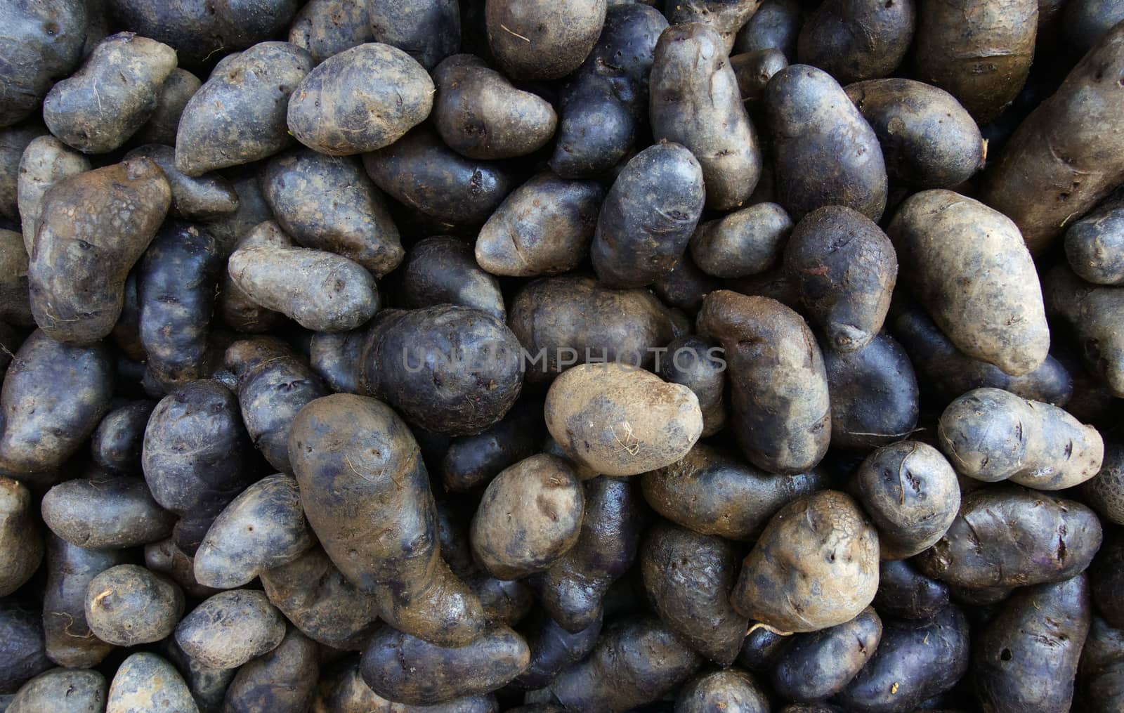 Black Potatoess by bobkeenan