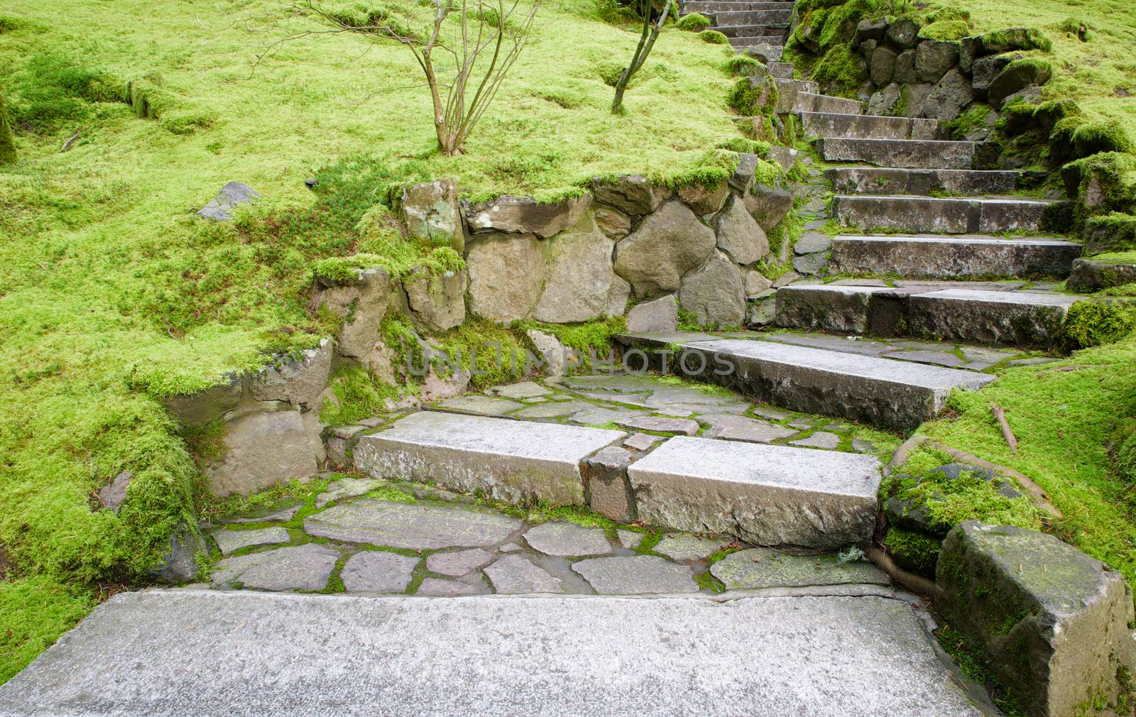 Curving stone stairway with surrounding moss covered grounds