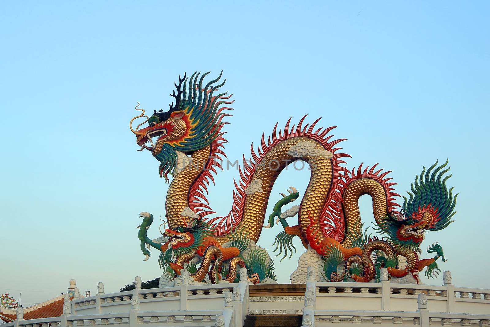 Chinese golden dragon on beautiful sky background