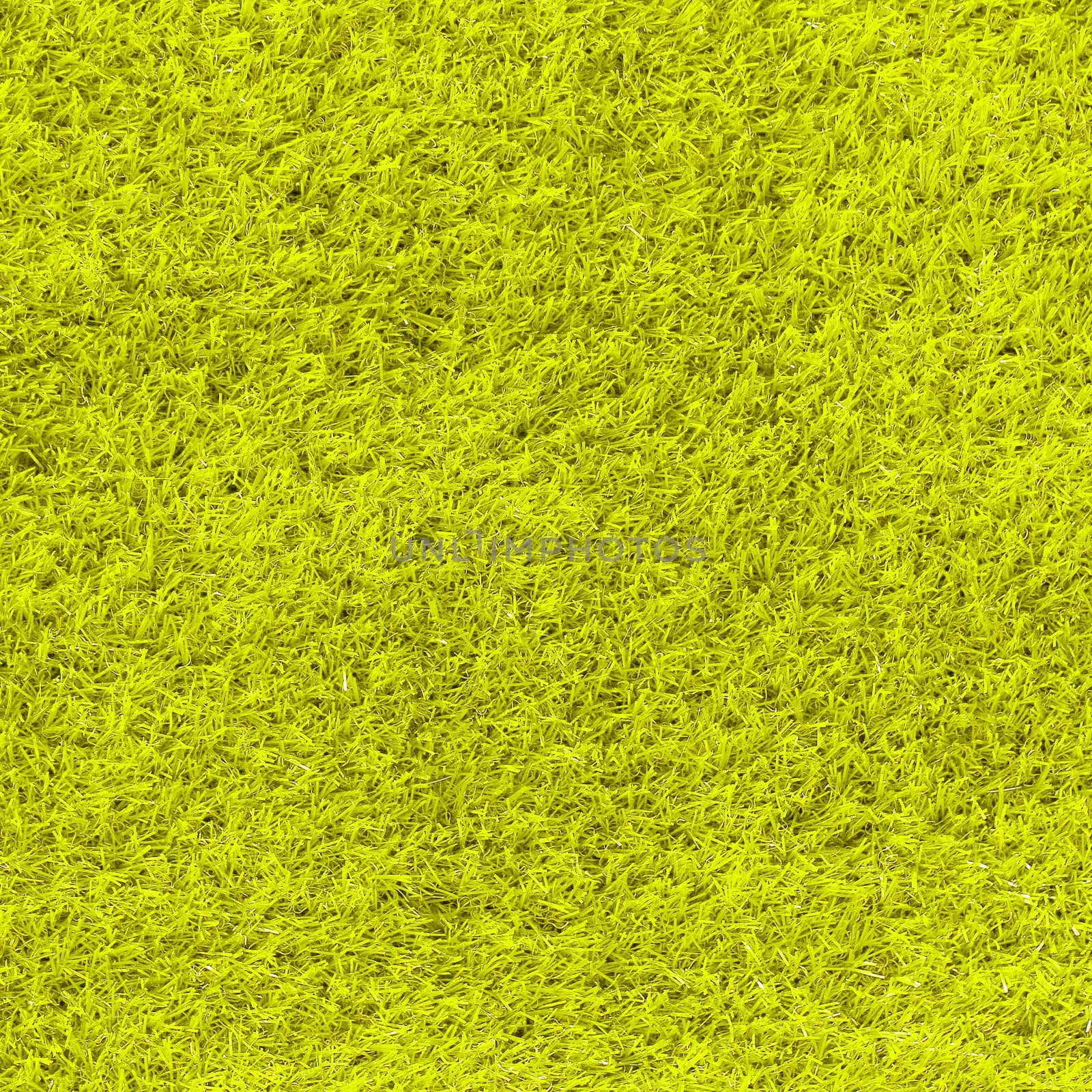yellow grass as background or texture
