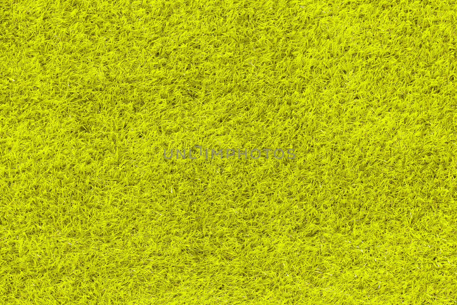 yellow grass as background or texture