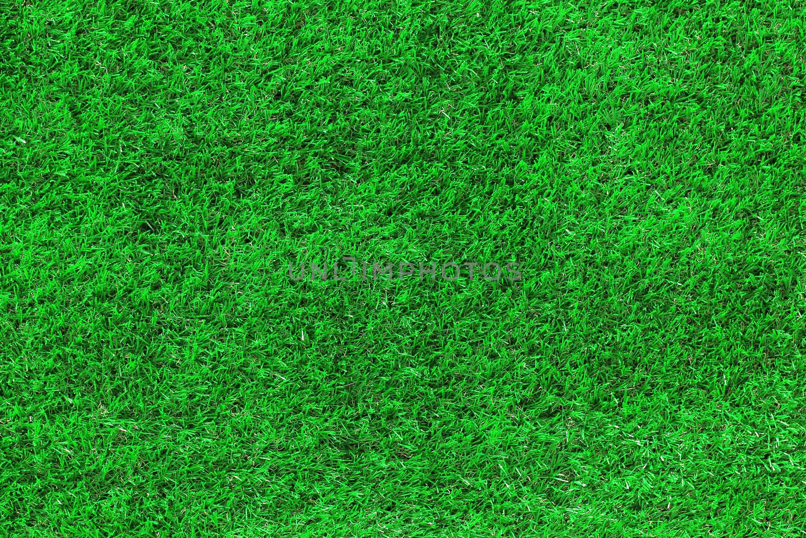 Green grass as background or texture