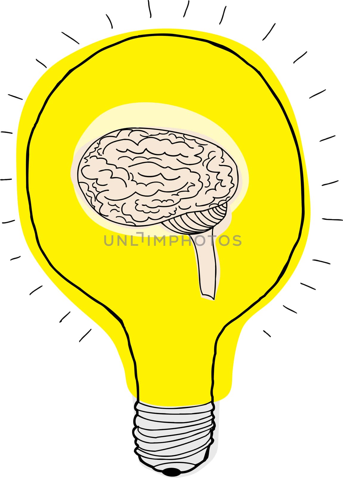 Human brain inside light bulb over white background