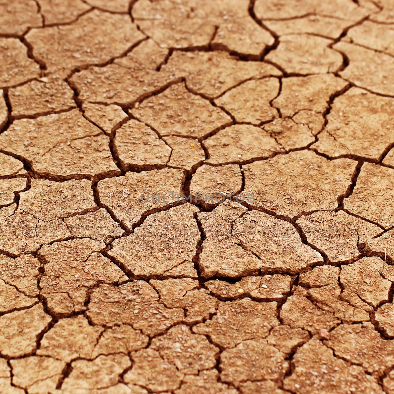 Dry cracked earth as background or texture 