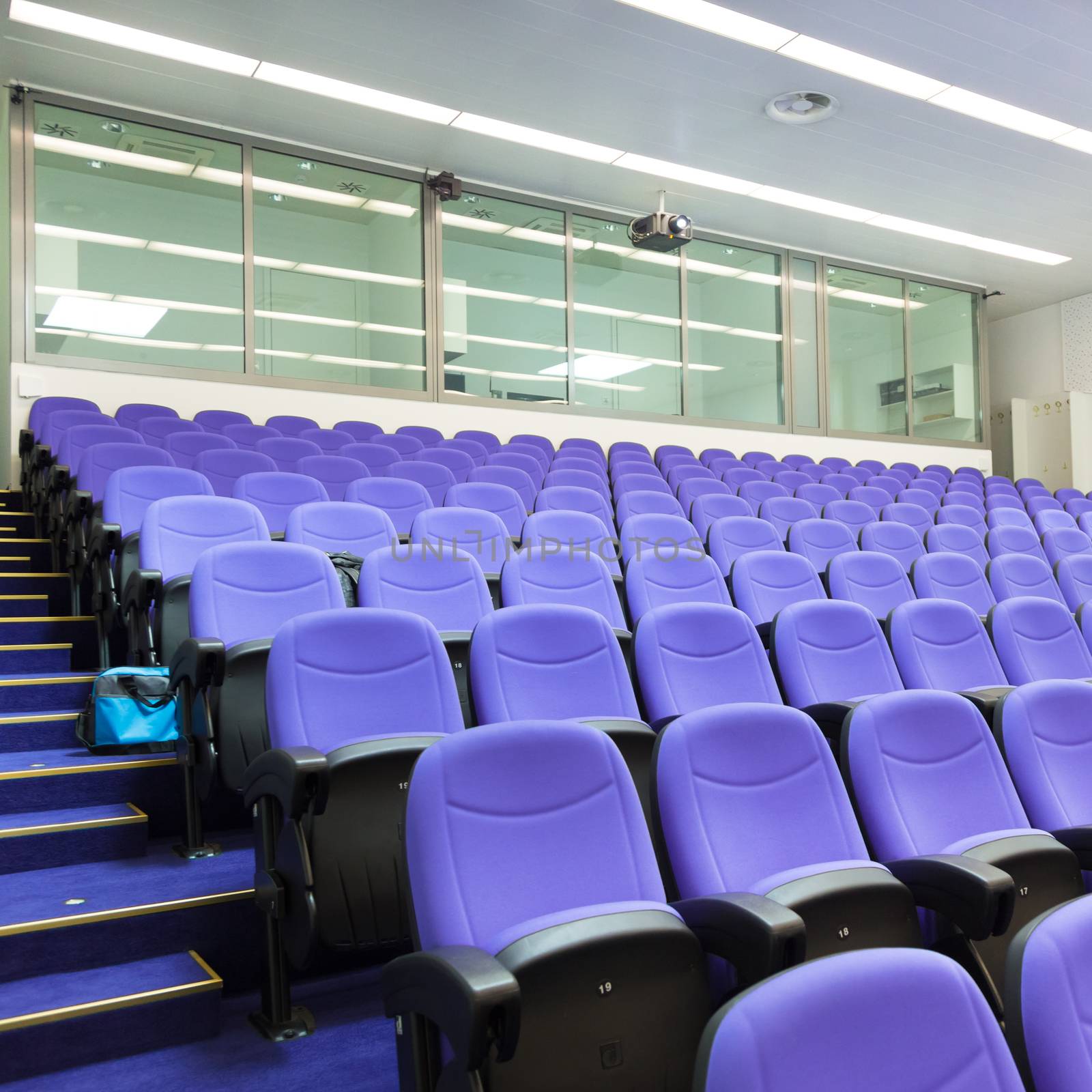 Interior of empty conference hall with purple velvet chairs.