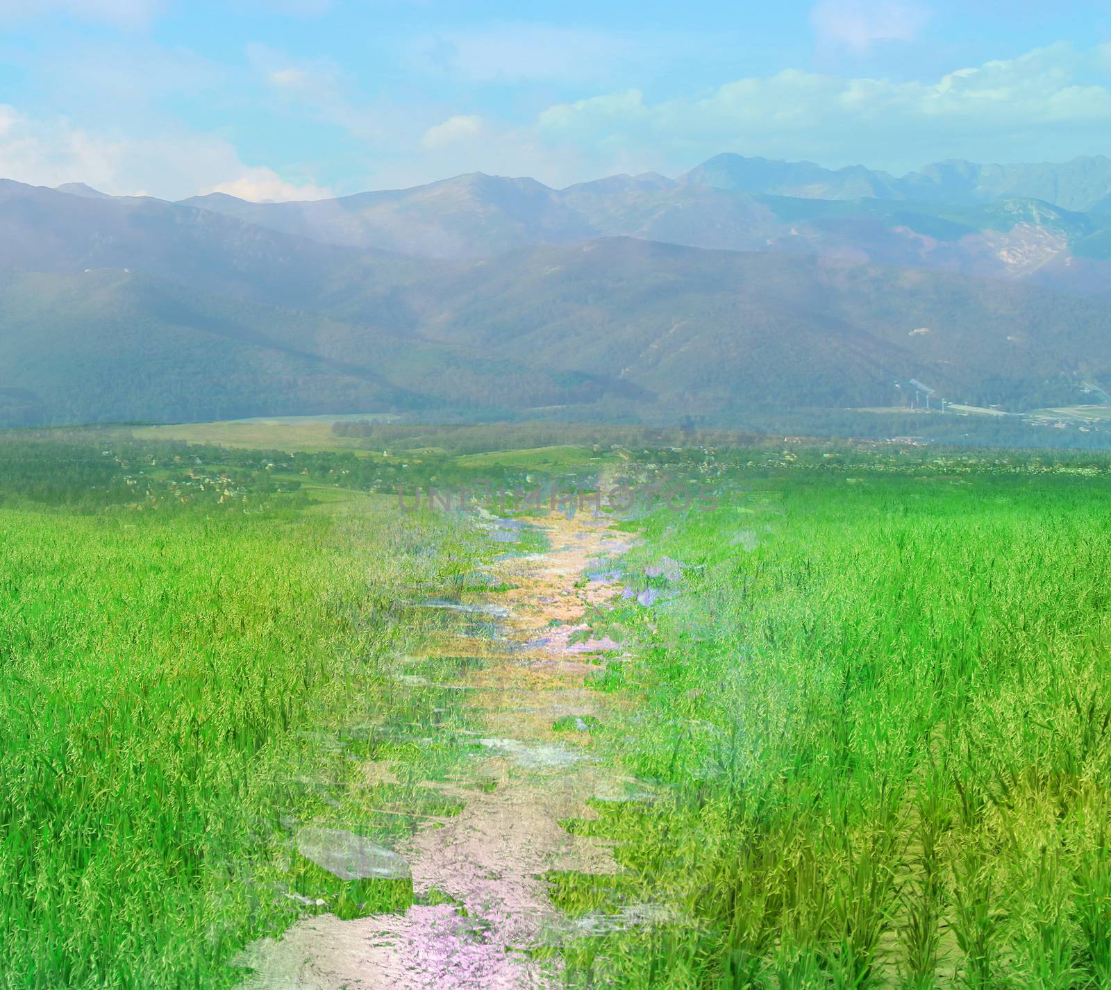 rural summer landscape close to high mountain