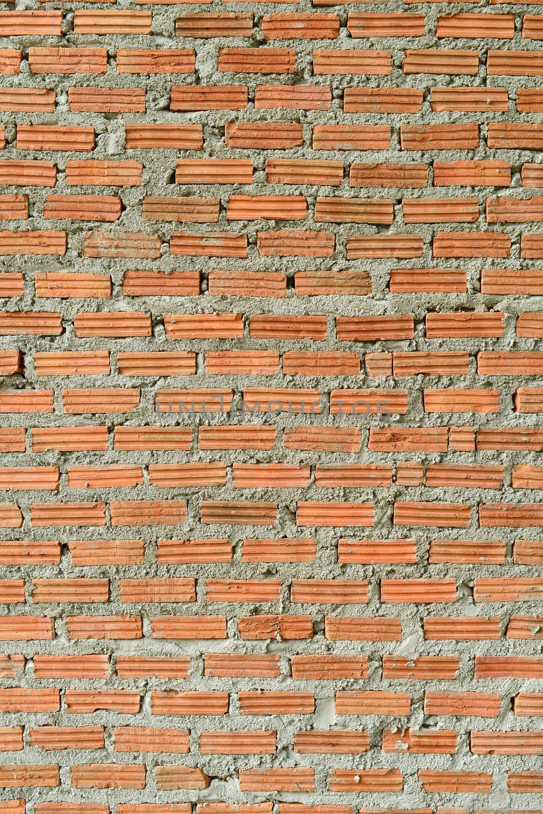 Brick Wall by antpkr
