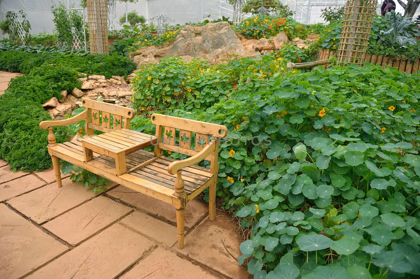 veggie plot in the garden at Doi Angkhang royal project, Chiangmai, Thailand.