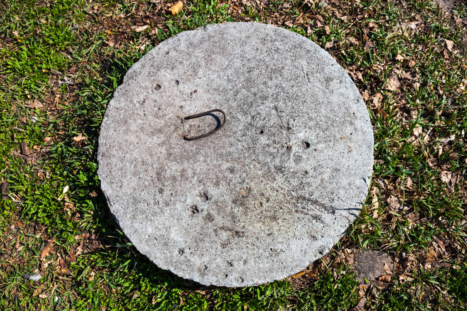 Concrete manhole cover in the grass in the sunny day.