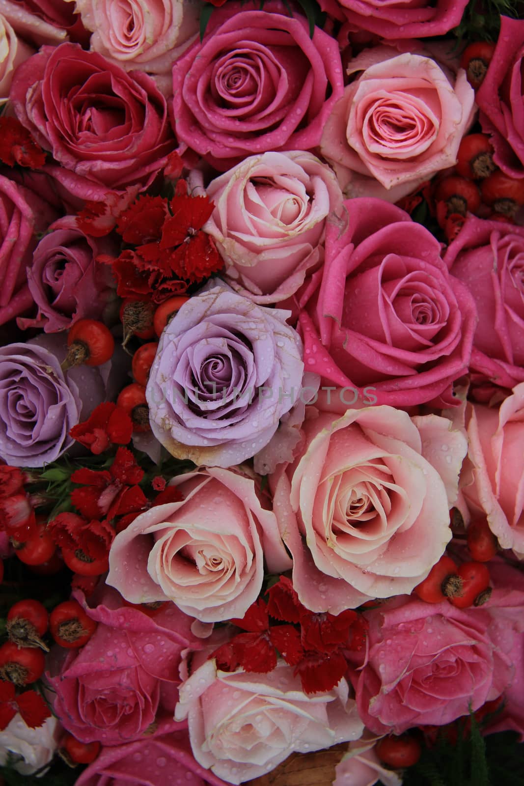 Bridal flower arrangement in various shades of pink and purple, mixed with red berries