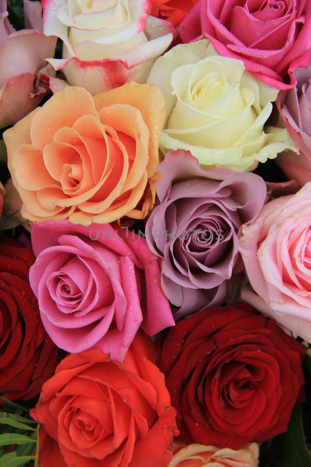 Roses in various bright colors in a mixed bridak bouquet