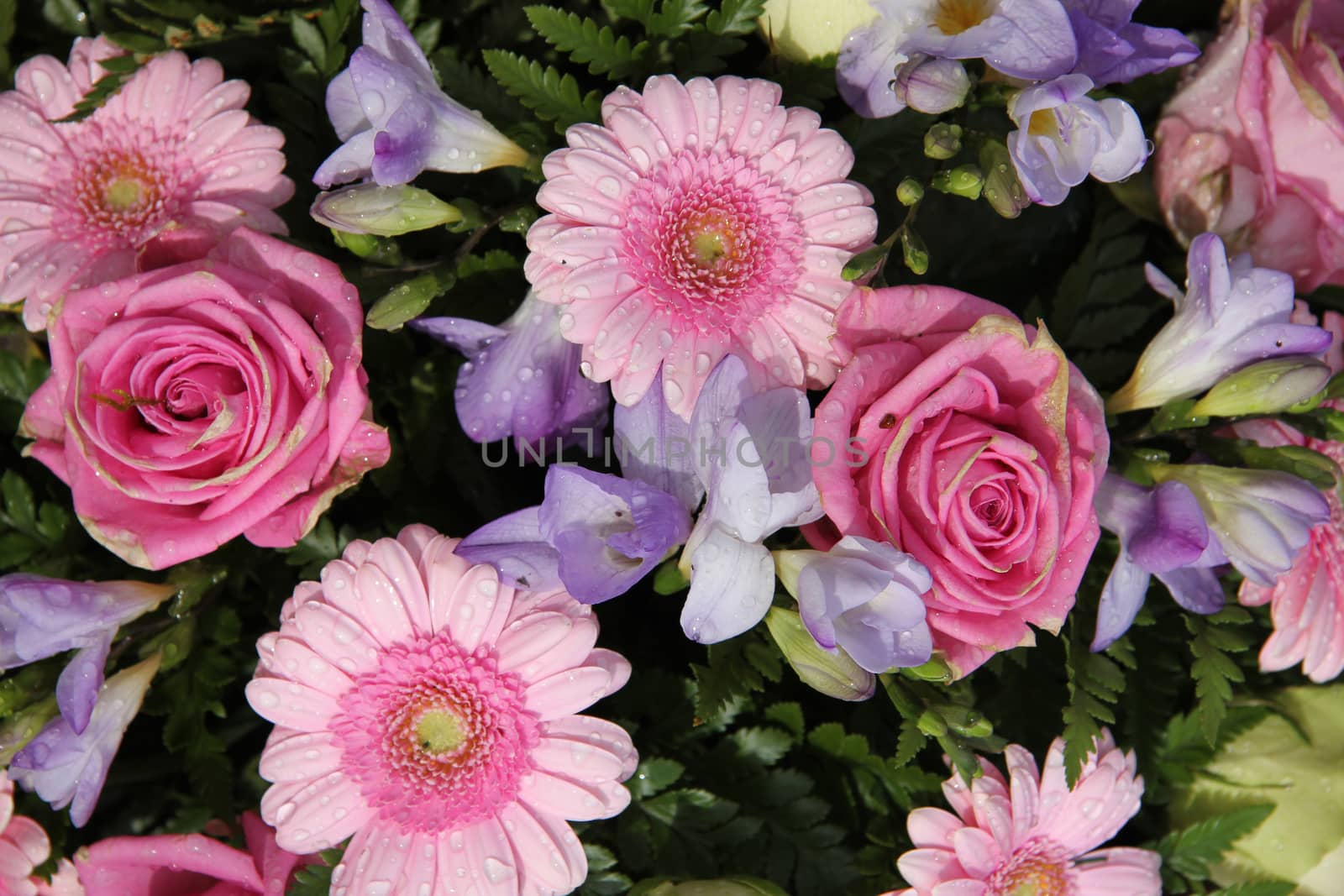 Bridal bouquet: pink roses and gerberas and purple freesias