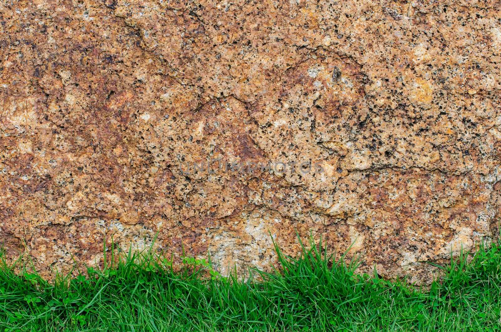 Green grass and background as a rock