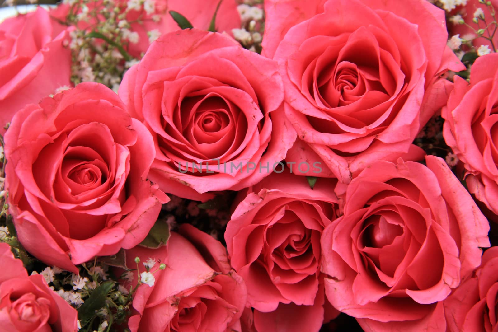 Pink roses in a bridal arrangement by studioportosabbia