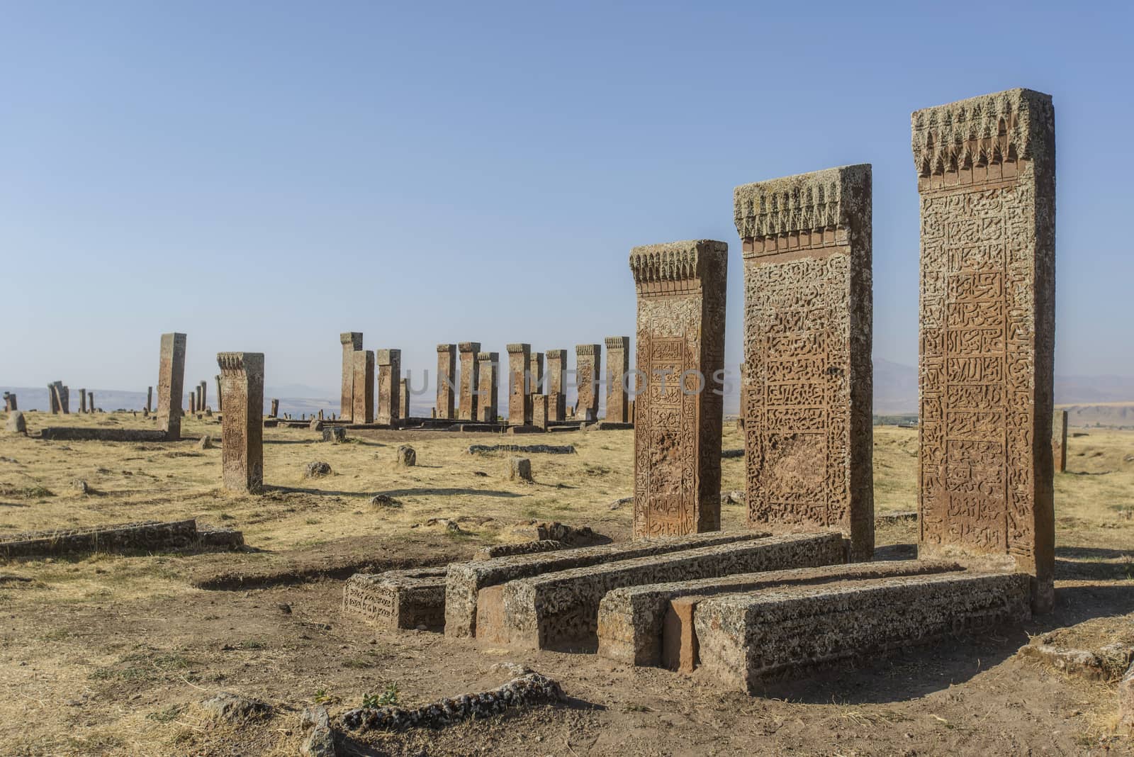 seljuk turk cemetery in ahlat, bitlis