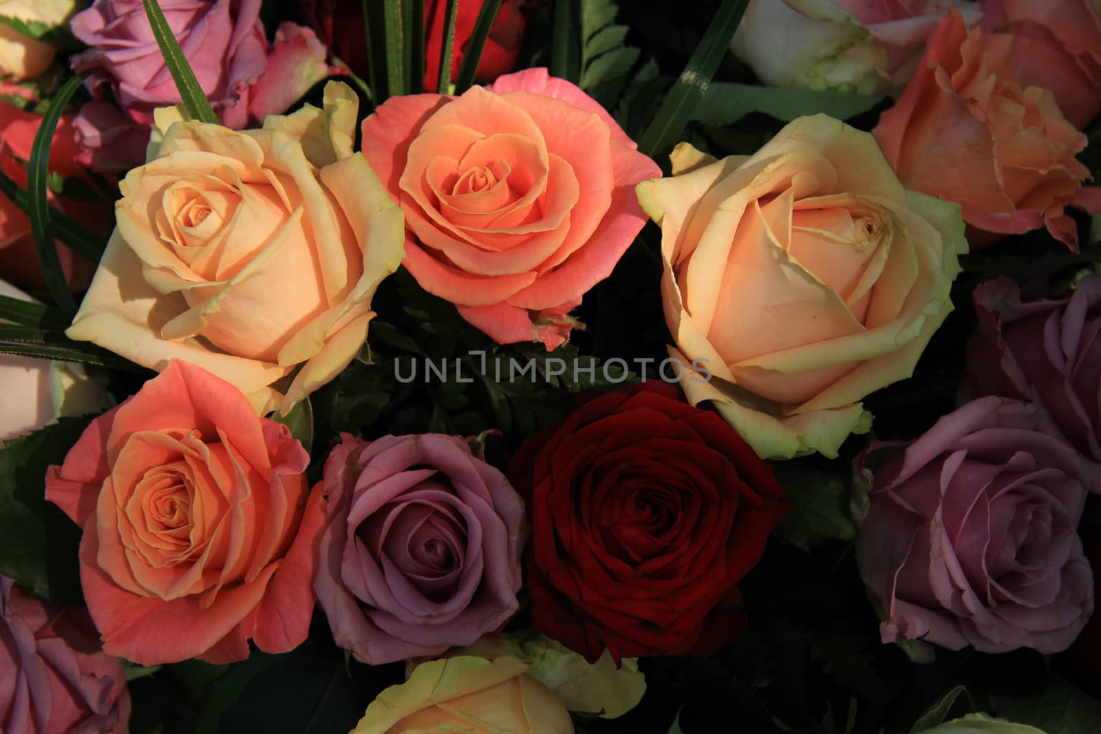 Pastel colored roses in a wedding flower arrangement