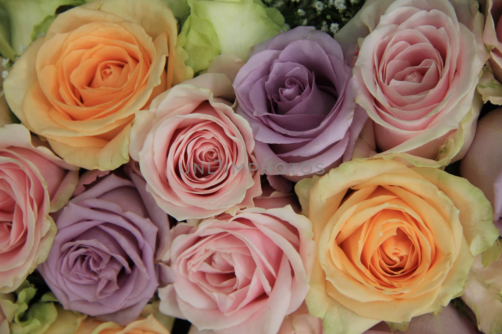 Pastel roses in bridal arrangement by studioportosabbia