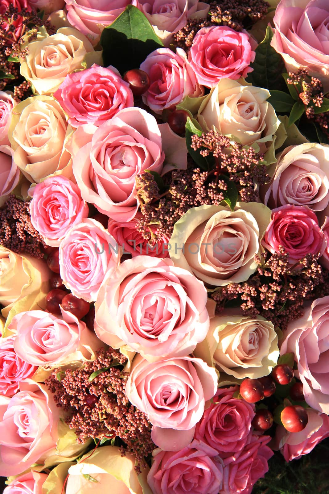 Pastel roses in different shades of pink in a bridal arrangement