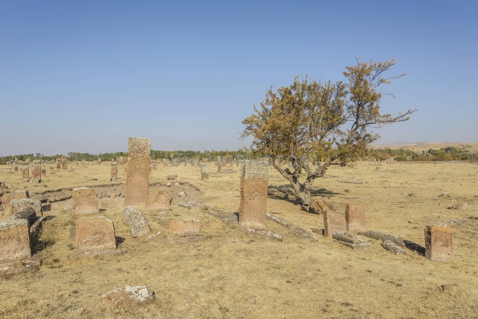 seljuk turk cemetery in ahlat, bitlis