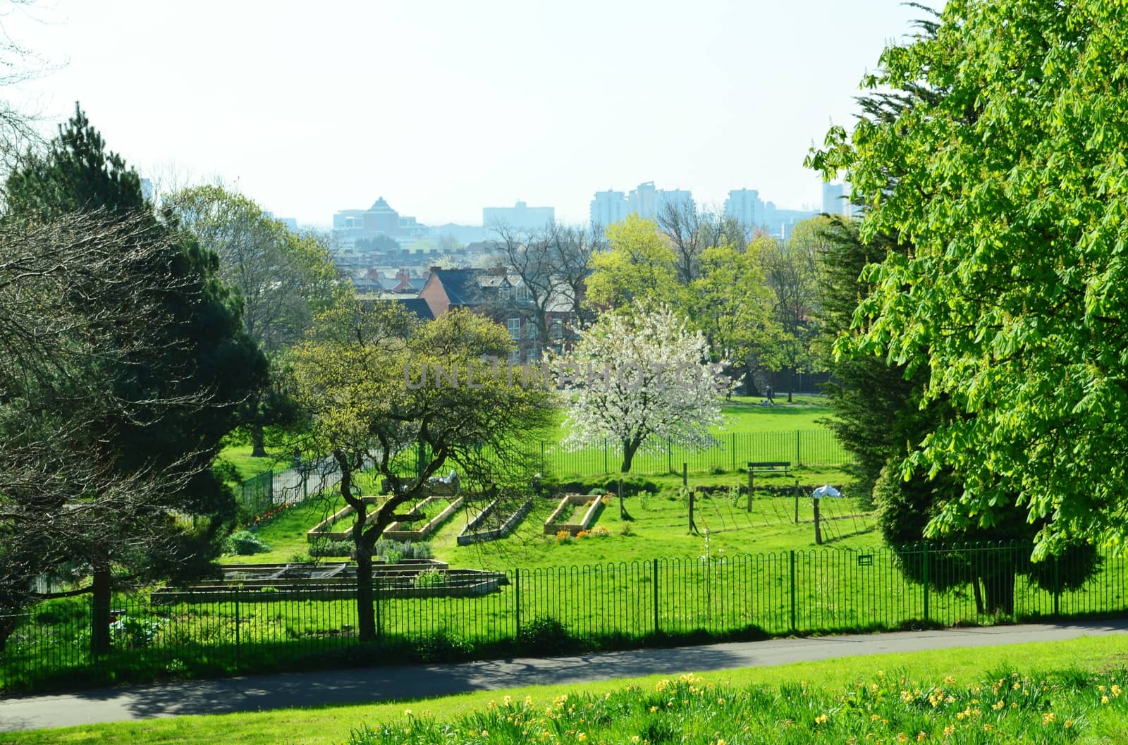 An image of a City park photographed in the Spring,