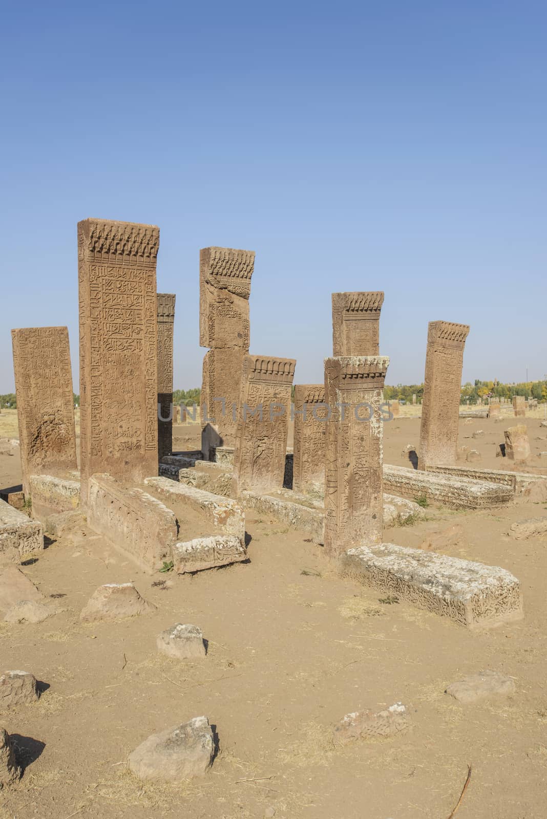 seljuk turk cemetery in ahlat, bitlis