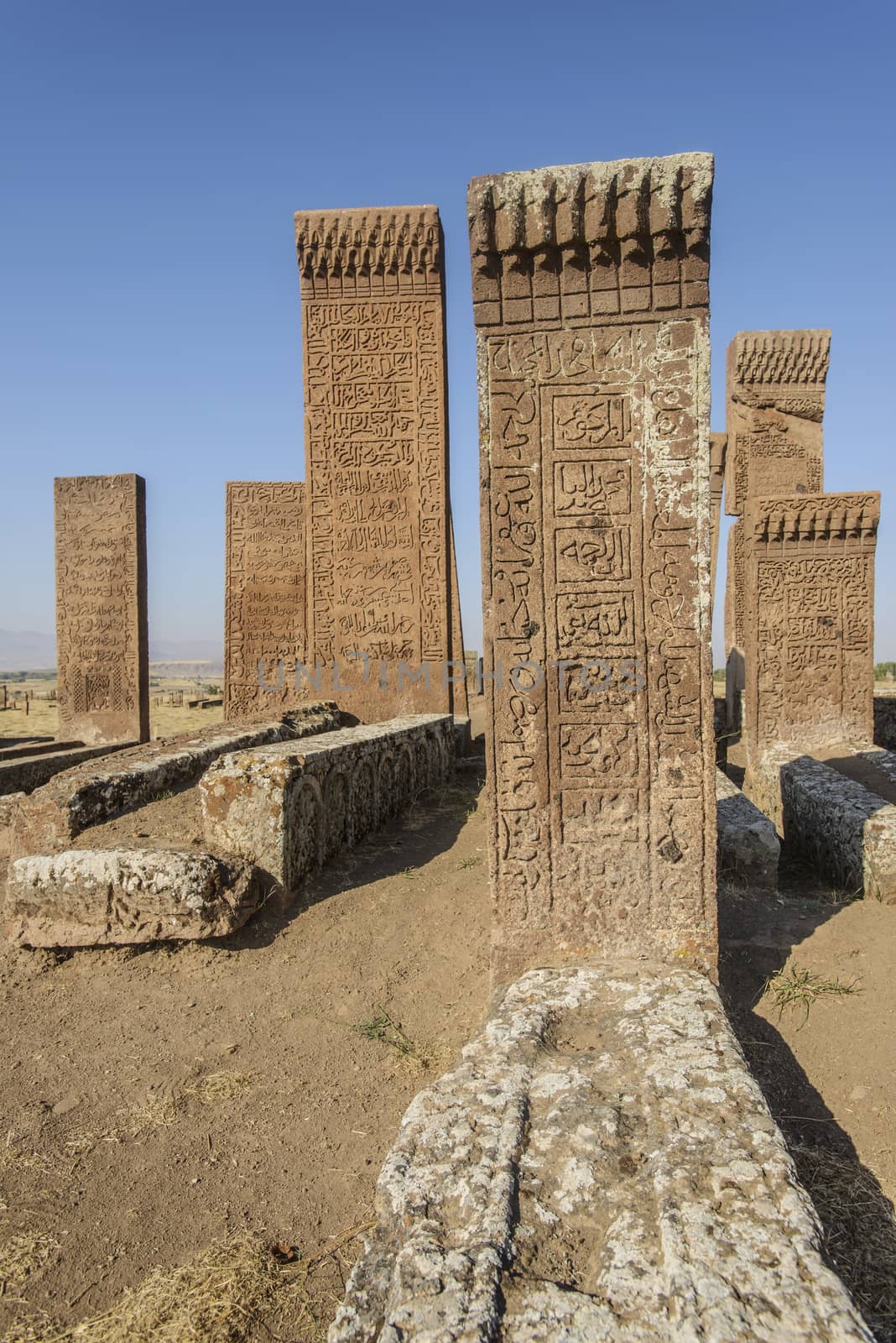 seljuk turk cemetery in ahlat, bitlis